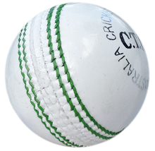Load image into Gallery viewer, 4 piece Cricket Training Ball
