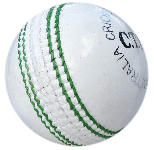 4 piece Cricket Training Ball